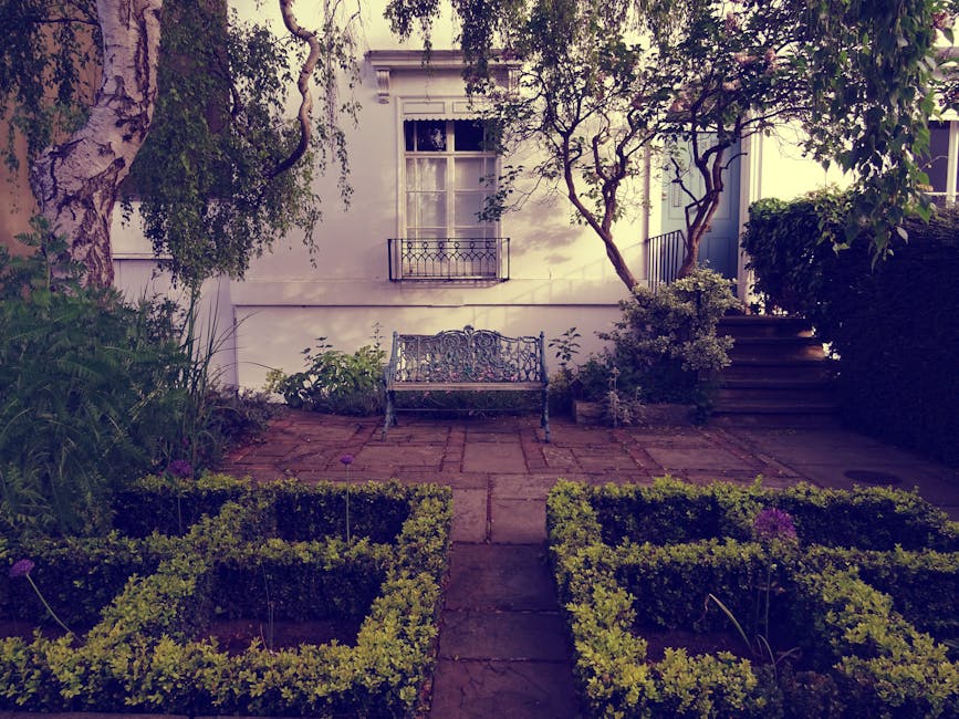 A residential front garden featuring a large cherry blossom tree with abundant pink flowers in full bloom, its branches spreading widely and creating a canopy over the area. Beneath the tree, there is a neatly trimmed green hedge that borders a brick wall and a small paved pathway leading to the house entrance. The house exterior is painted light gray with white window frames and a dark green front door, flanked by white columns supporting a porch roof. The garden appears well-maintained, with no visible tools or ongoing work, and the surrounding environment includes a clean, tidy appearance with soft natural lighting highlighting the vibrant colors of the blossoms and greenery. The scene embodies meticulous garden maintenance and landscaping work typical of a Fulham garden cared for by professionals such as Gardeners Fulham.