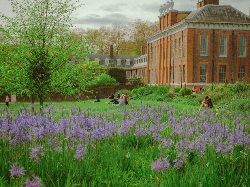A lush garden scene near Fulham Palace featuring a well-maintained lawn bordered by flowering plants and shrubs. In the foreground, a dense patch of purple flowers, possibly crocuses or alliums, contrast with the vivid green grass and leaves. To the left, a large deciduous tree with bright green new leaves provides shade, while more trees in the background display a mix of fresh foliage and mature branches. Several people are sitting and relaxing on the grass, some engaged in conversation, capturing a peaceful outdoor atmosphere. On the right side, a historic red-brick building with large white-framed windows and a slate roof overlooks the garden, accentuated by the overcast sky which creates diffuse natural lighting. The garden area appears to be undergoing some maintenance or landscaping work, complementing the service category of gardening offered by Gardeners Fulham. Overall, the scene reflects a tranquil, well-cared-for outdoor space ideal for leisure and community gatherings, with elements of garden maintenance and landscaping visible through the neatly trimmed bushes and orderly layout.